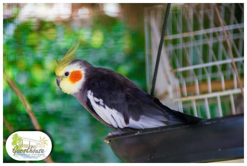 Guesthouse Kazapraia บัลเนอาริโอ ปรายา โด แลสชิ ภายนอก รูปภาพ